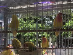 -宠爱我(南山店)