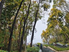 -深圳国际园林花卉博览园