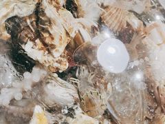 -前王院•巧克力海鲜市集餐厅(万平口店)