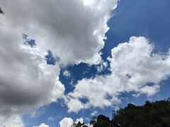 -普洱太阳河森林公园
