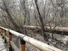 -棋盘山风景区