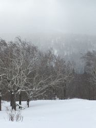 -大秃顶子山