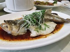 -佳佳美·囍悦水乡