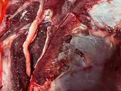 -南山民肴·乡土徽菜(豪辰俪景店)