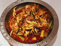 -蟹宗蟹(润达国际五楼店)