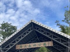 -南京老山国家森林公园