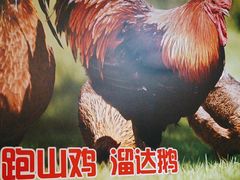 -锅老头海鲜铁锅炖