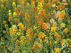 -中国天府农业博览园