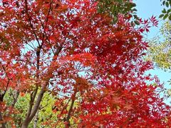 -白鹭湾湿地公园