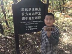 -云岭野山参风景区