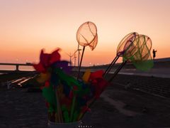 -南汇新城海滩