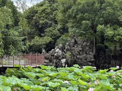 -郑和公园