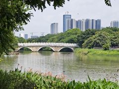 -海珠湖公园