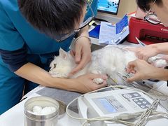 -康成宠物医院24H·CT·核磁共振