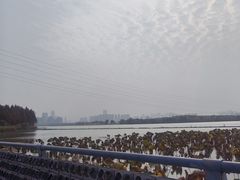 -金银湖国家城市湿地公园