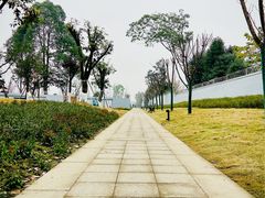 -成飞公园