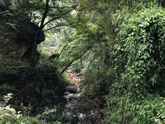 -重庆海昌加勒比海水世界