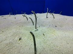 -上海海洋水族馆