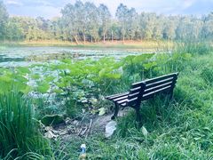 -东郊湿地公园