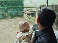 -石家庄市动物园