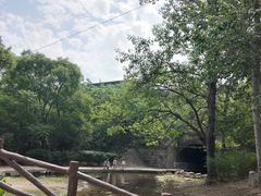 -白水寺森林公园