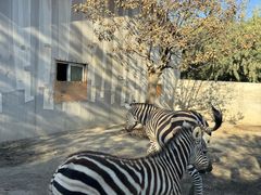 -水上乐园·欢乐世界