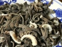 -东兴顺爆肚张
