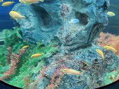 -福州罗源湾海洋世界旅游区