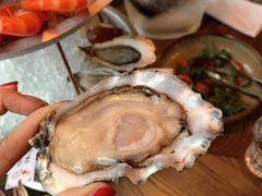 -斯普汇生蚝牛排馆(中骏世界城店)
