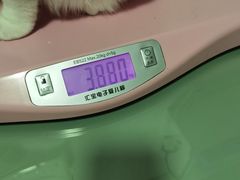 -守诺宠物医院·眼科· 特色牙科·异宠专科(虹口店)