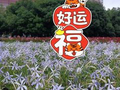 -武汉市民之家