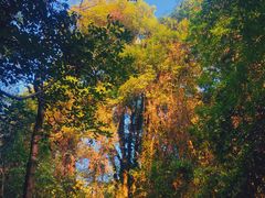 -火炉山森林公园