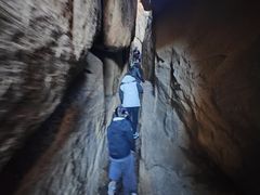 -鲁山国家森林公园