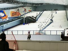 -哈尔滨热雪奇迹