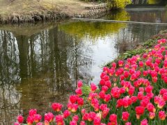 -上海滨江森林公园