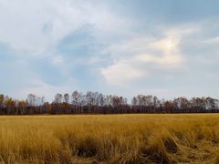 -御道口草原森林风景区