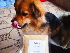 -宿州花鸟鱼虫古玩宠物大市场