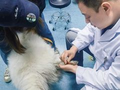 -北京赛佳动物医院