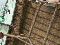 -大象粑粑造纸公园