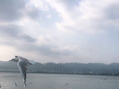 -海埂大坝
