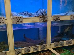 -丽园海鲜饭店(东关街店)