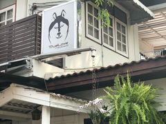-TrueLove @ Neverland (Husky Cafe)