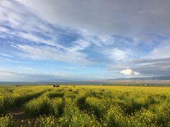 -青海湖国家重点风景名胜区