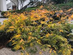 -新高轮格兰王子大酒店