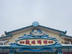 -海合安成都极地海洋公园