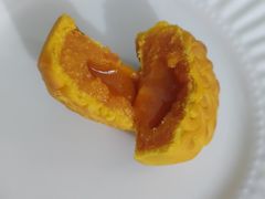 -蒲公英(五里店)