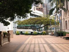 -香港大学