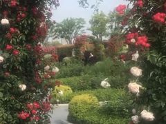 -金银湖国家城市湿地公园