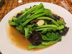 -老广酒楼(樱花店)