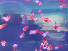 -多彩贵州城极地海洋世界